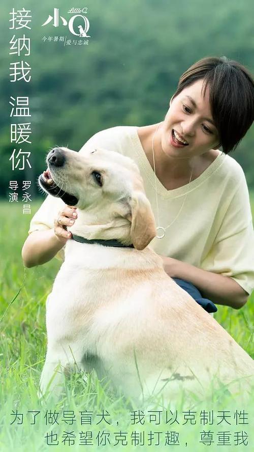 哪里能办海南工程师证